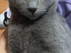 -北京恒爱动物医院(清景园分院)