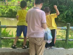 -青青世界
