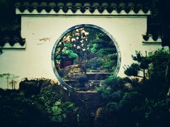 -南山植物园