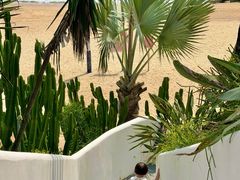 -精酿农场Brew Farm·沙漠绿洲餐厅