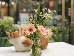 -厦门良筑精品酒店(厦门中山路店)