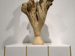 -上海油画雕塑院