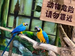 -海合安武汉极地海洋公园