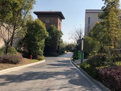 -上海崇明金茂凯悦酒店