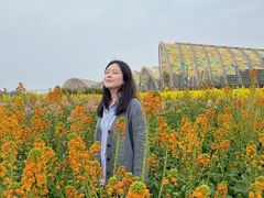 -中国天府农业博览园