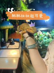 -酷嗒动物文化乐园(cutezoo西溪乐天城店)