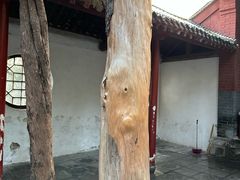 -洛阳白马寺
