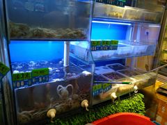 水产区-启东小海鲜(庄先湾路1号店)