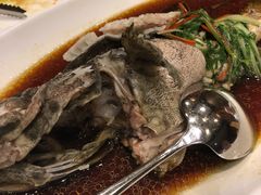 -东营蓝海御华大饭店渔歌舫(潍河路店)