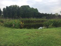 -白鹭湾湿地公园