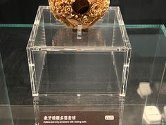 -广西壮族自治区博物馆