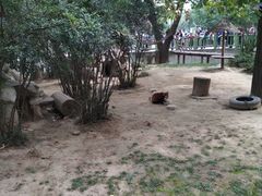 -西安秦岭野生动物园