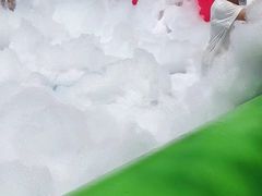 -北戴河集发农业梦想王国