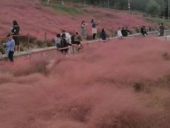-牛岗山公园