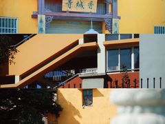 -三垟湿地