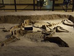 -洛阳周王城天子驾六博物馆