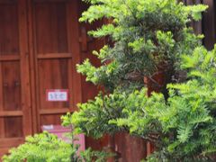 -许驸马府