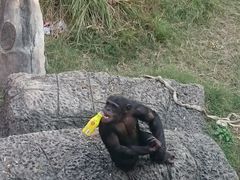 -南昌动物园