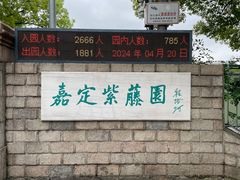 -嘉定紫藤园