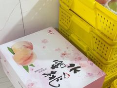 -老袁家蜜桃农场·阳山水蜜桃