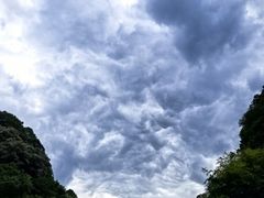 -陕西省红河谷森林公园