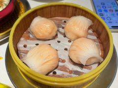 龙凤楼虾饺皇-香港龙凤楼(巨鹿路洋房店)