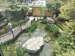 -聚缘堂·海鲜私房菜(松岭路店)