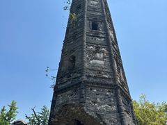 -上海佘山国家森林公园天马山园