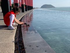 -漳州滨海火山岛自然生态风景区