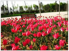 -济南国际园博园