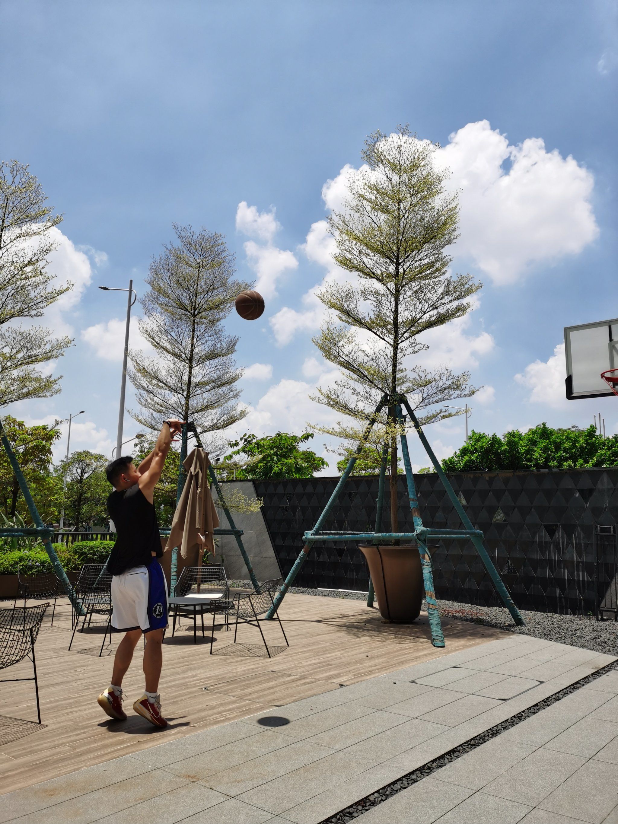 我和我的篮球时光