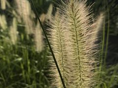 周围环境-猫的天空之城概念书店(杭州南宋御街店)