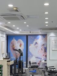 -镁连社·美联社