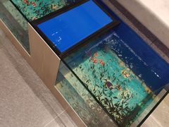 -钓鱼岛洗浴休闲会馆(卫星路店)