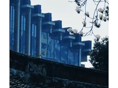 -上海醉白池公园