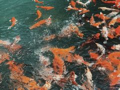 -兰溪地下长河