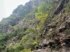 -龙洞风景区-藏龙涧