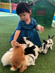 -萌宠亲子动物乐园(槐房万达店)