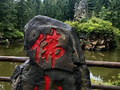 -茅兰沟国家森林公园