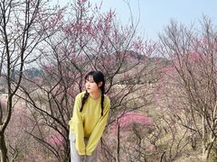 -新建村梅花