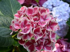 -常州古运河南大街文化旅游区-人民公园