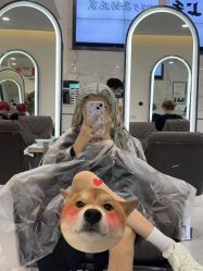 -上禾 HAIR SALON