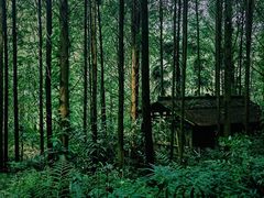 -凤栖山