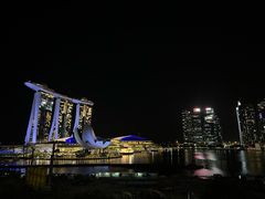 -新加坡文华东方酒店