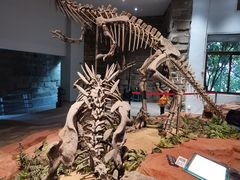 -自贡恐龙博物馆