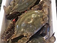 -王四营海鲜市场