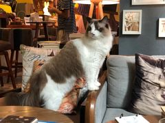 -咖法森林·咖啡  酒吧(天河店)