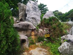 -东莞植物园