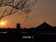 -广富林郊野公园