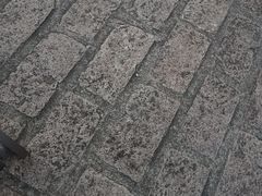 -上海野生动物园
